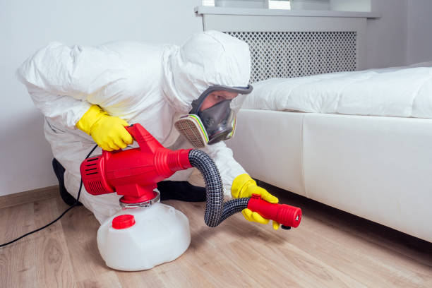 Best Flea Control Services  in Tsaile, AZ