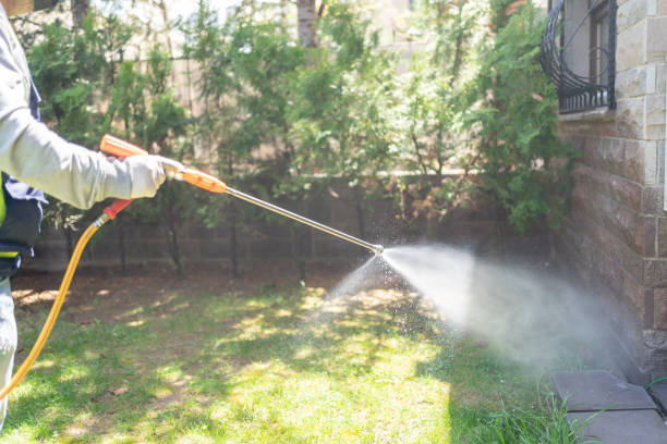 Professional Pest Control in Tsaile, AZ