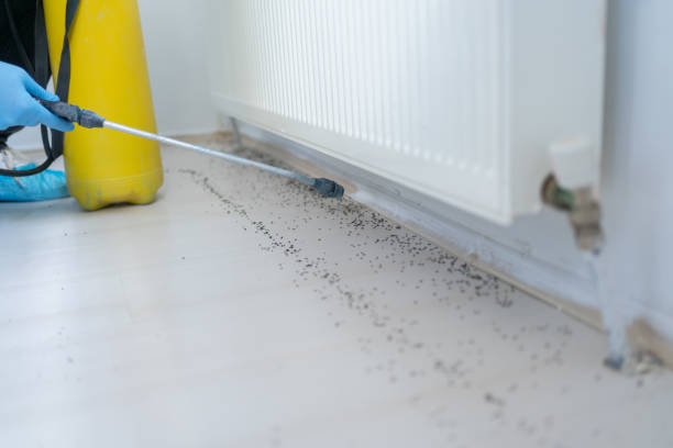 Best Wildlife Control Services  in Tsaile, AZ