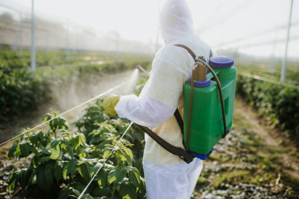 Best Commercial Pest Control Services  in Tsaile, AZ